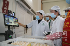 <b>保康一中：食安可视化 守护零距离</b>