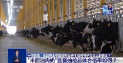 若何守护舌尖上的平安？聚焦食物添加剂、校园
